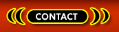 Transsexuals Phone Sex Contact Virginia Beach